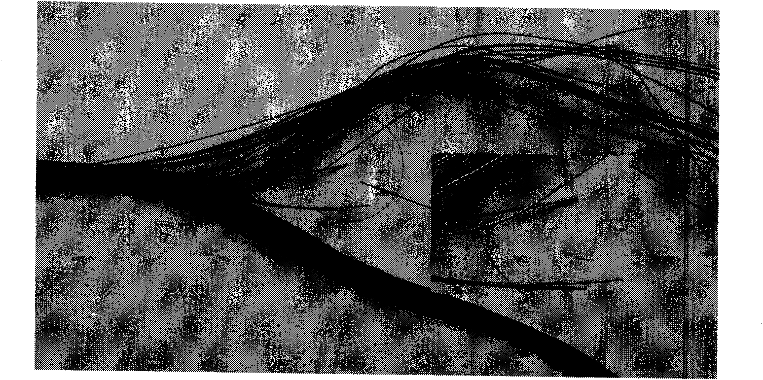 Cable and preparation method thereof