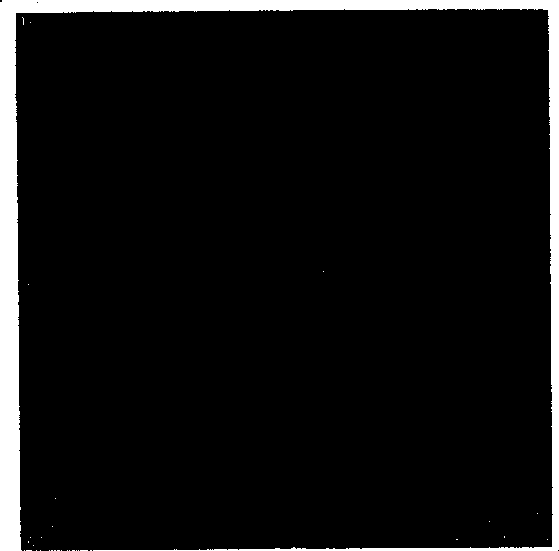 MRI molecular image probe and preparing method thereof