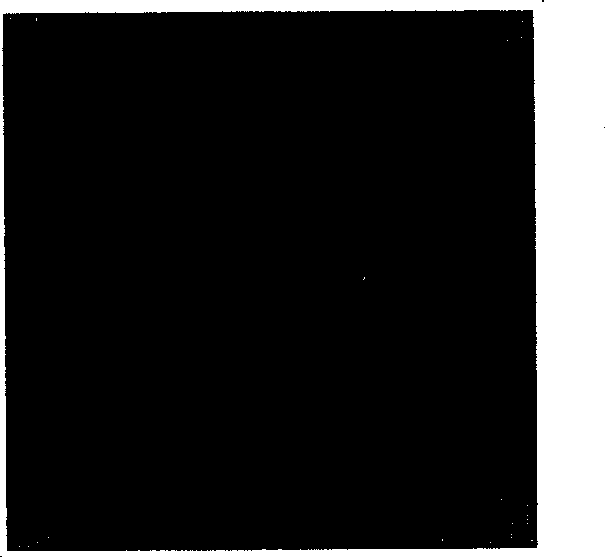 MRI molecular image probe and preparing method thereof