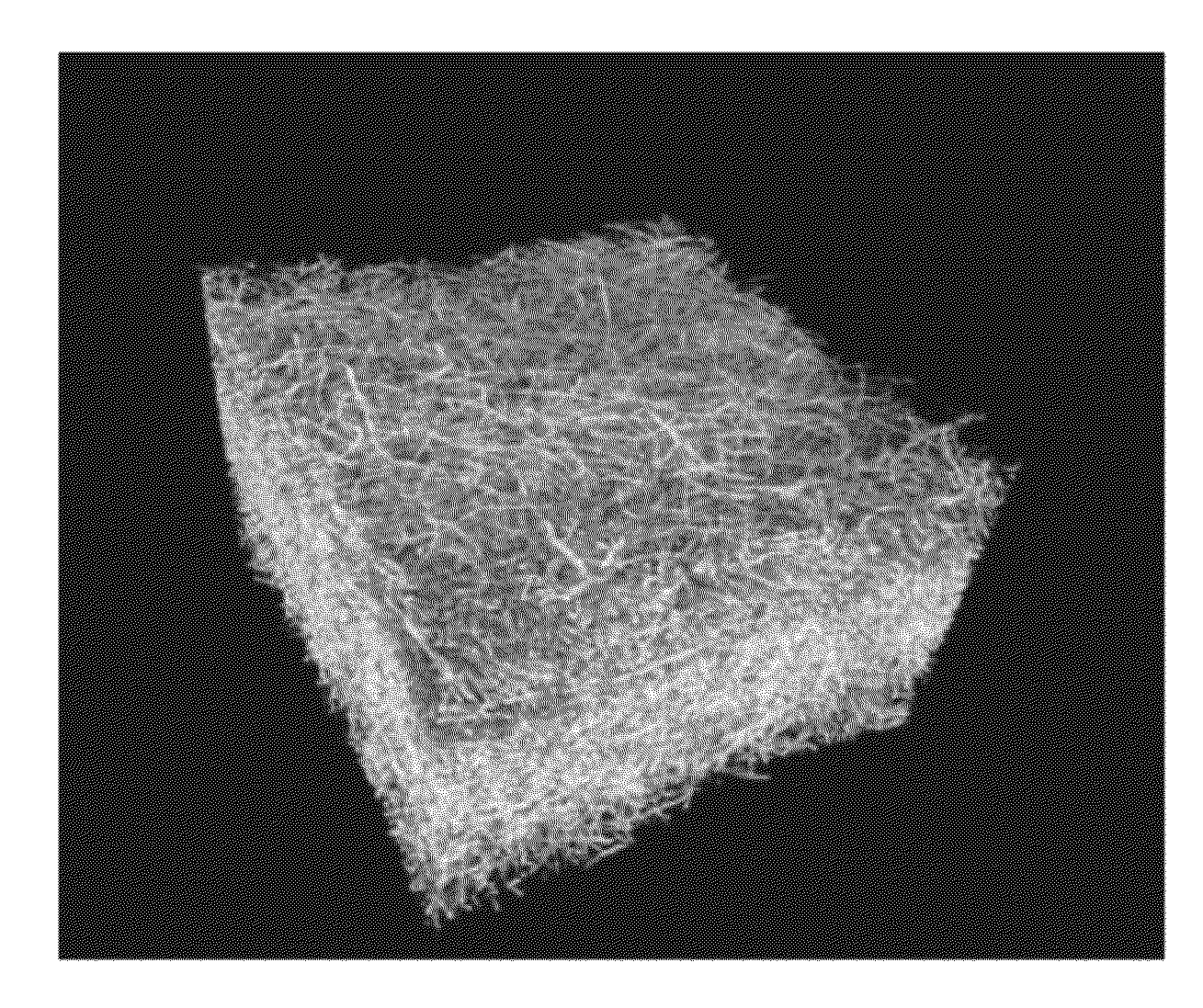 Absorbent Members Having Skewed Density Profile