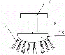 Vegetable cleaning device