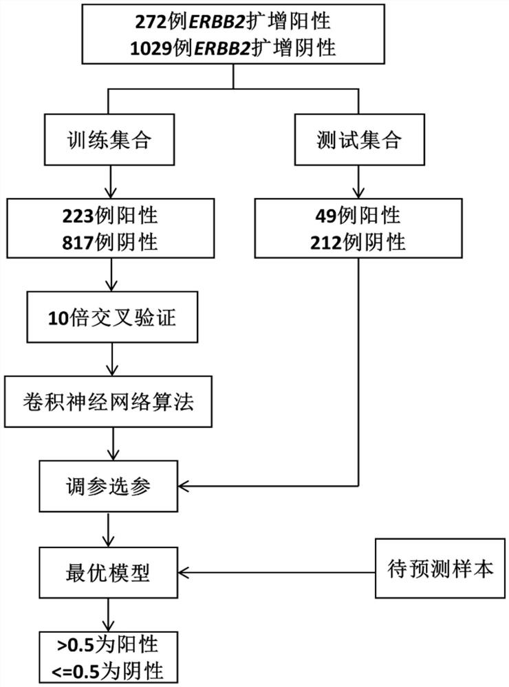 Method and computer system for detecting copy number variation using a single sample based on next-generation sequencing technology