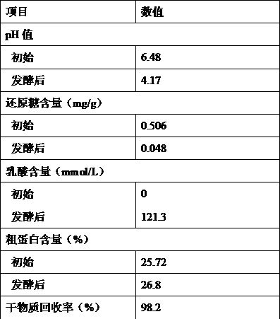 6-10 day-old biologically fermented artificial pigeon milk and its preparation method