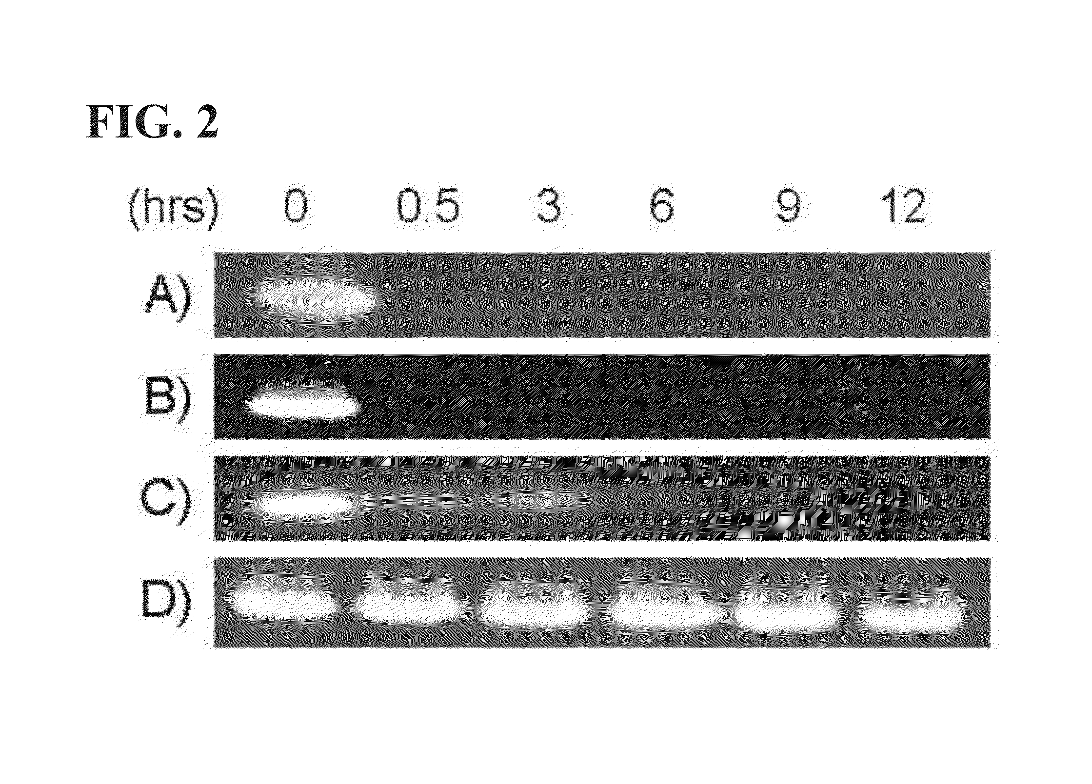 Use of HGMA-targeted phosphorothioate DNA aptamers to suppress carcinogenic activity and increase sensitivity to chemotherapy agents in human cancer cells