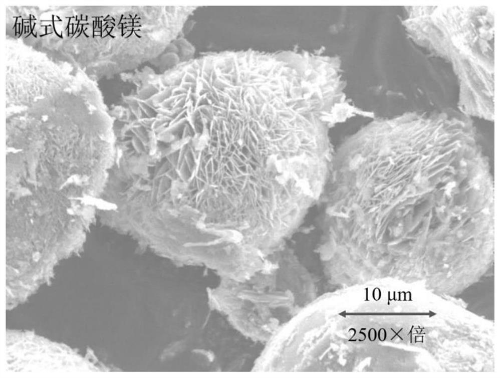 Chemical grouting fluid for repairing CO2 leakage of deep stratum and preparation method of chemical grouting fluid