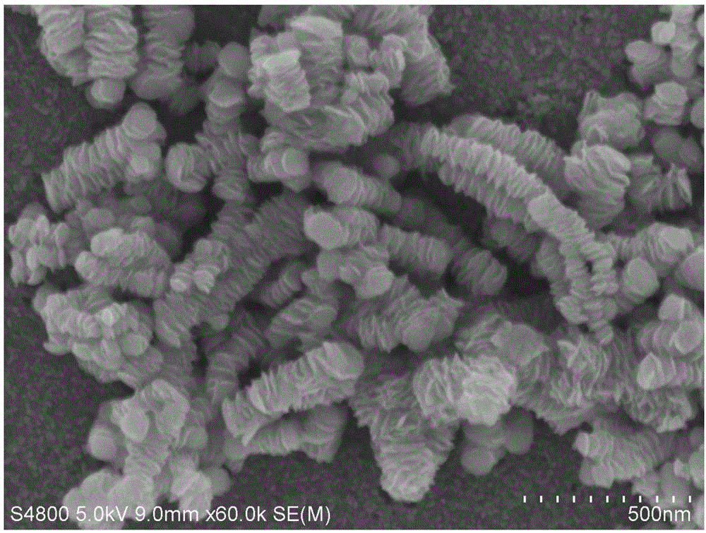 Lamella accumulated one-dimensional molybdenum disulfide nanometer material and preparation method thereof