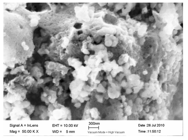 Lithium ferric manganese phosphate as cathode material of lithium ion battery and preparation method thereof