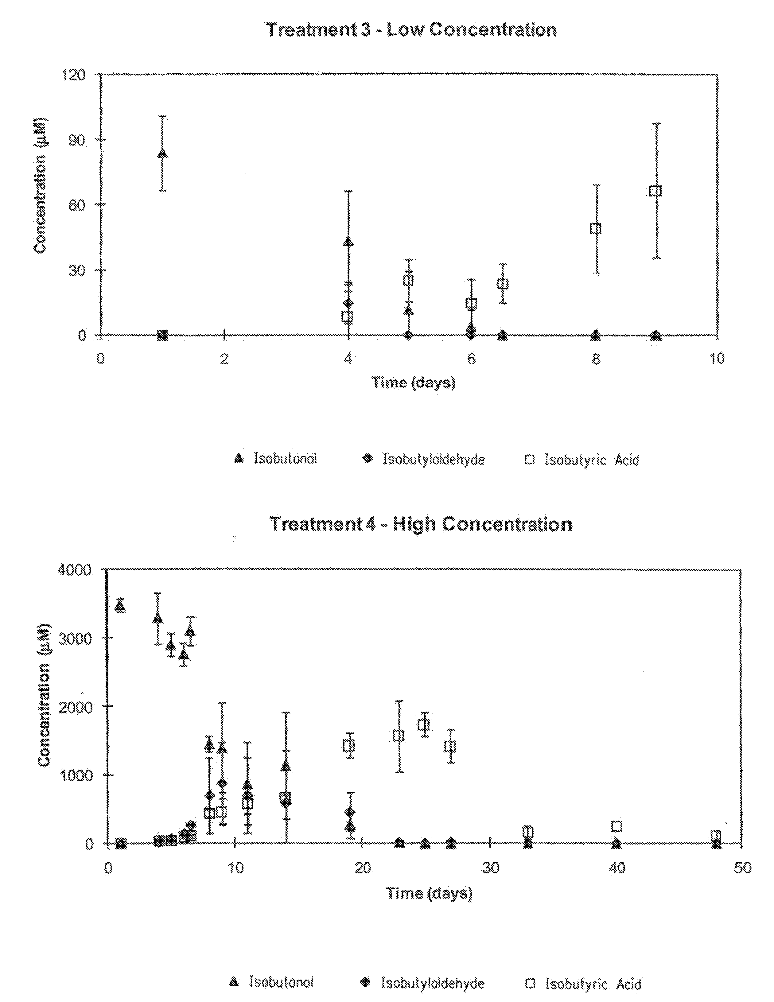 Biodegradation of renewable hydrocarbon fuel blends