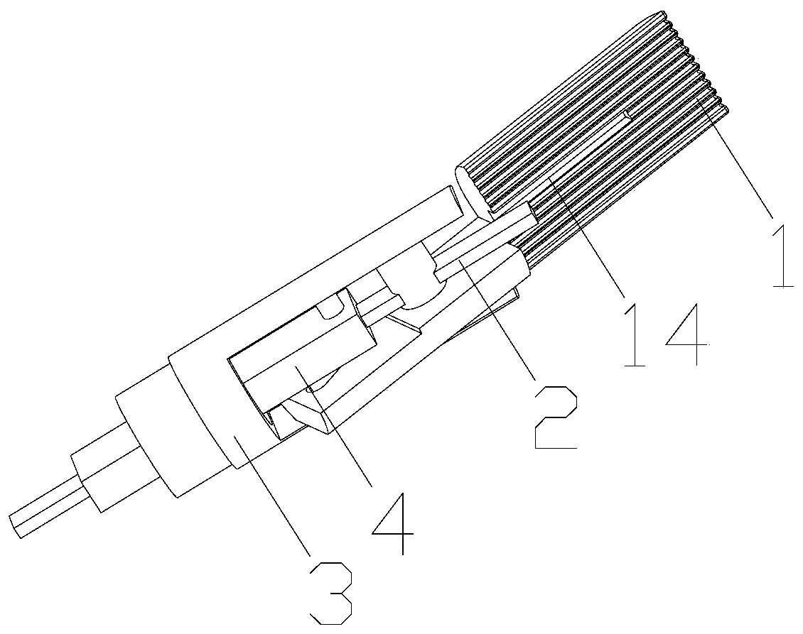 Separating forceps for abdominal cavity