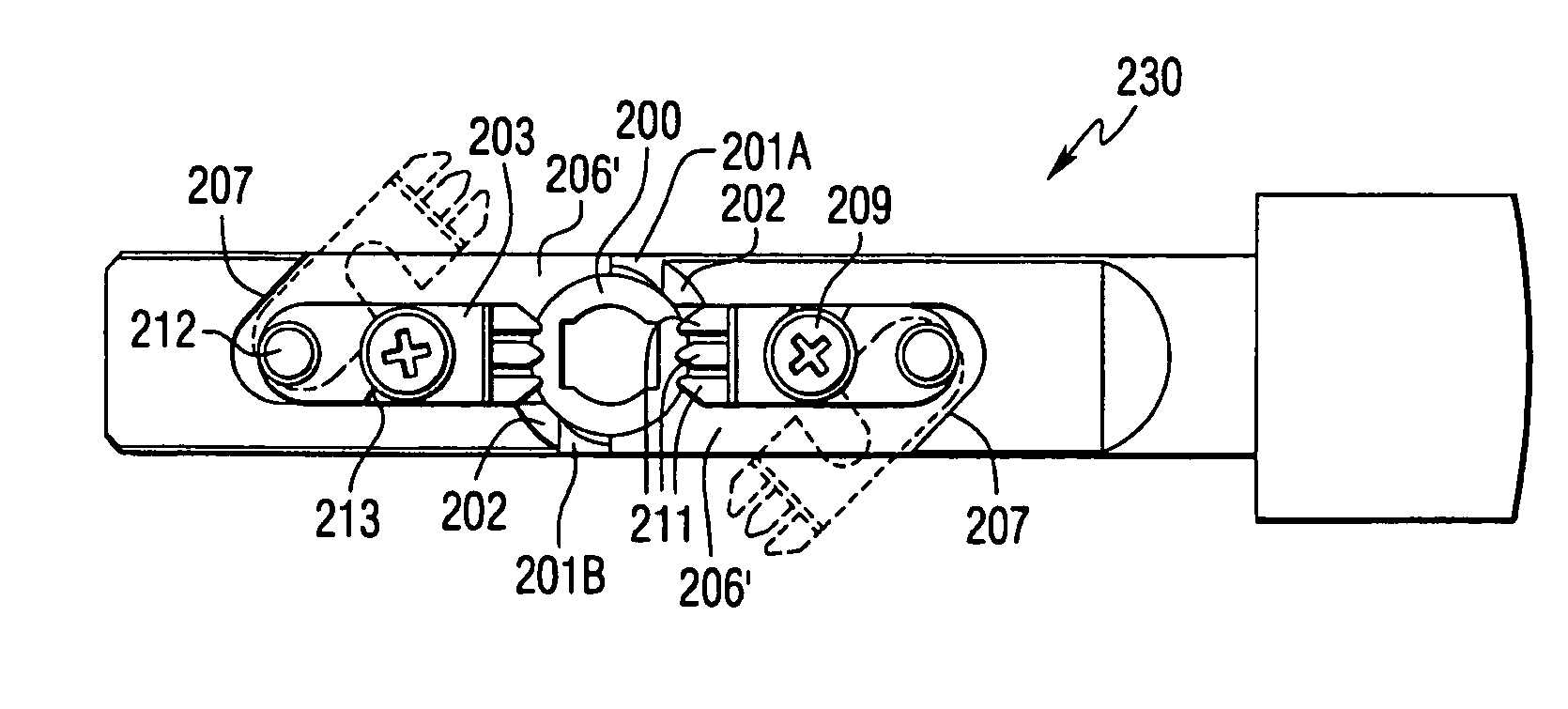 Specimen holding apparatus