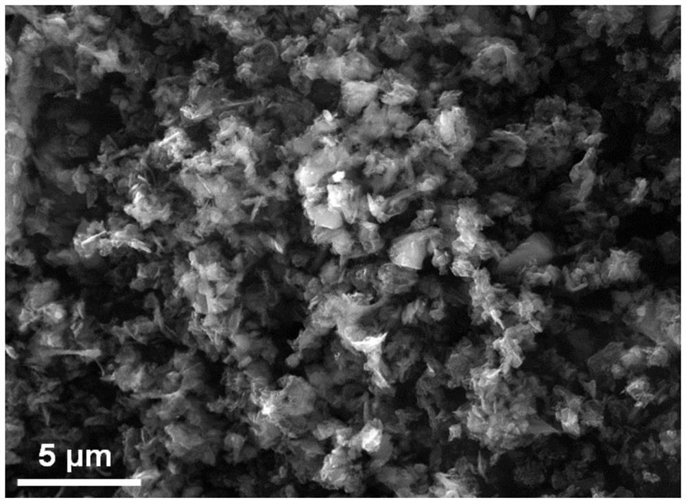 Multi-heteroatom co-doped carbon shell coated silicon composite material and preparation method thereof