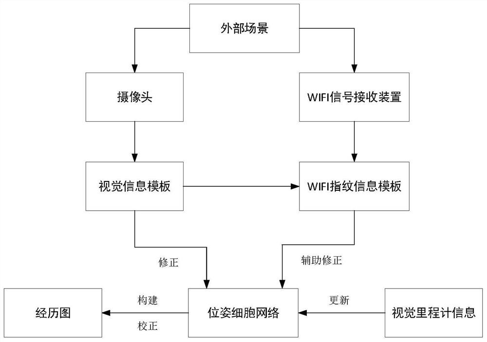 Method and device for simultaneous localization and map construction based on rodent model