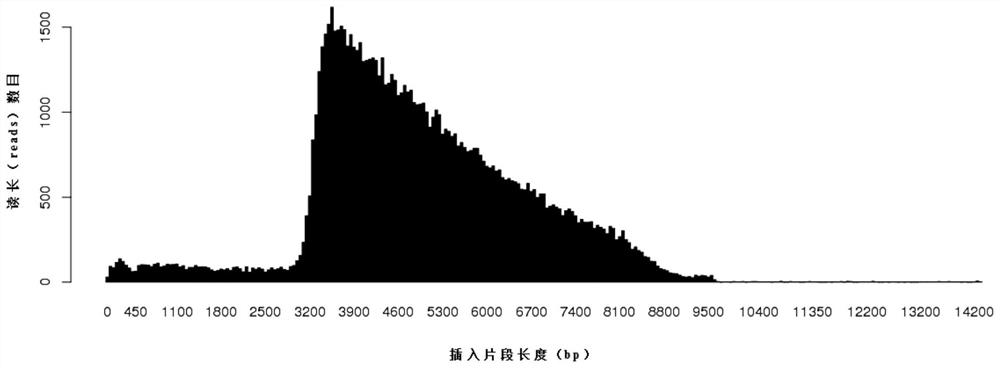 dna library construction method with low input