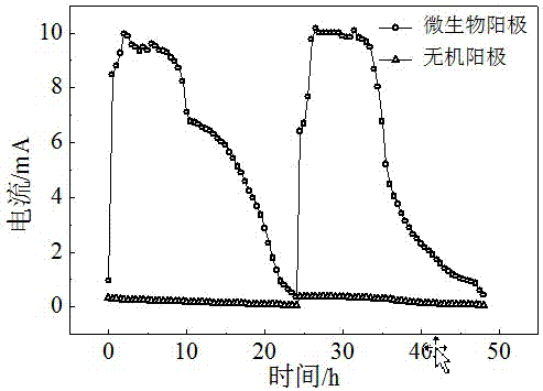 Microorganism-assisted CO2 photoelectrocatalysis reduction method