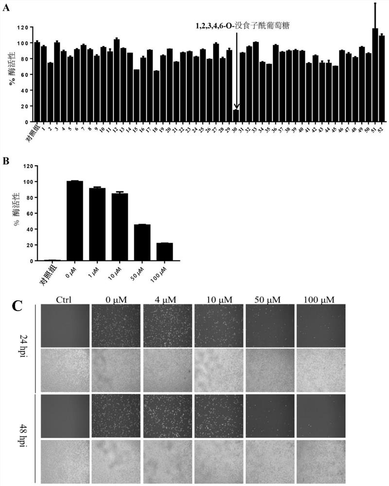 Application of small molecule compound in anti-African swine fever virus infection