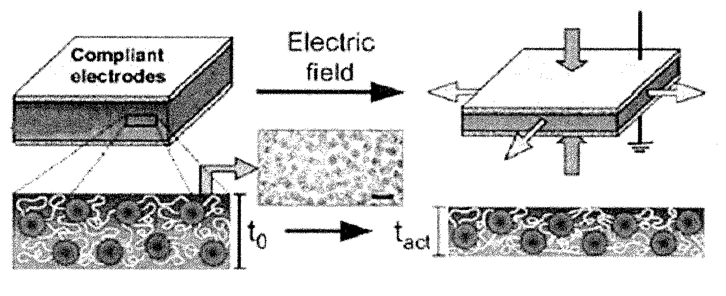 Polymer blend composition and tunable actuators using the same