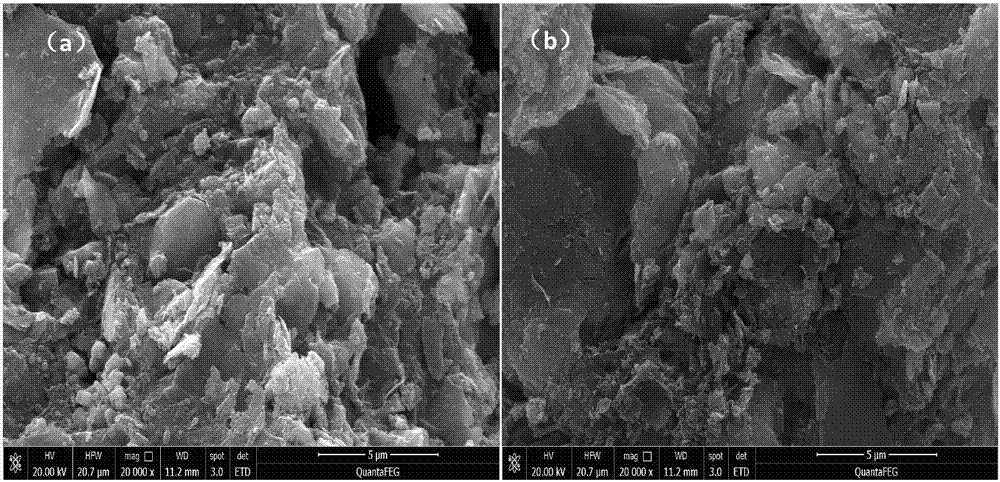 Modified magnetic sludge biological carbon and preparation method and applications thereof