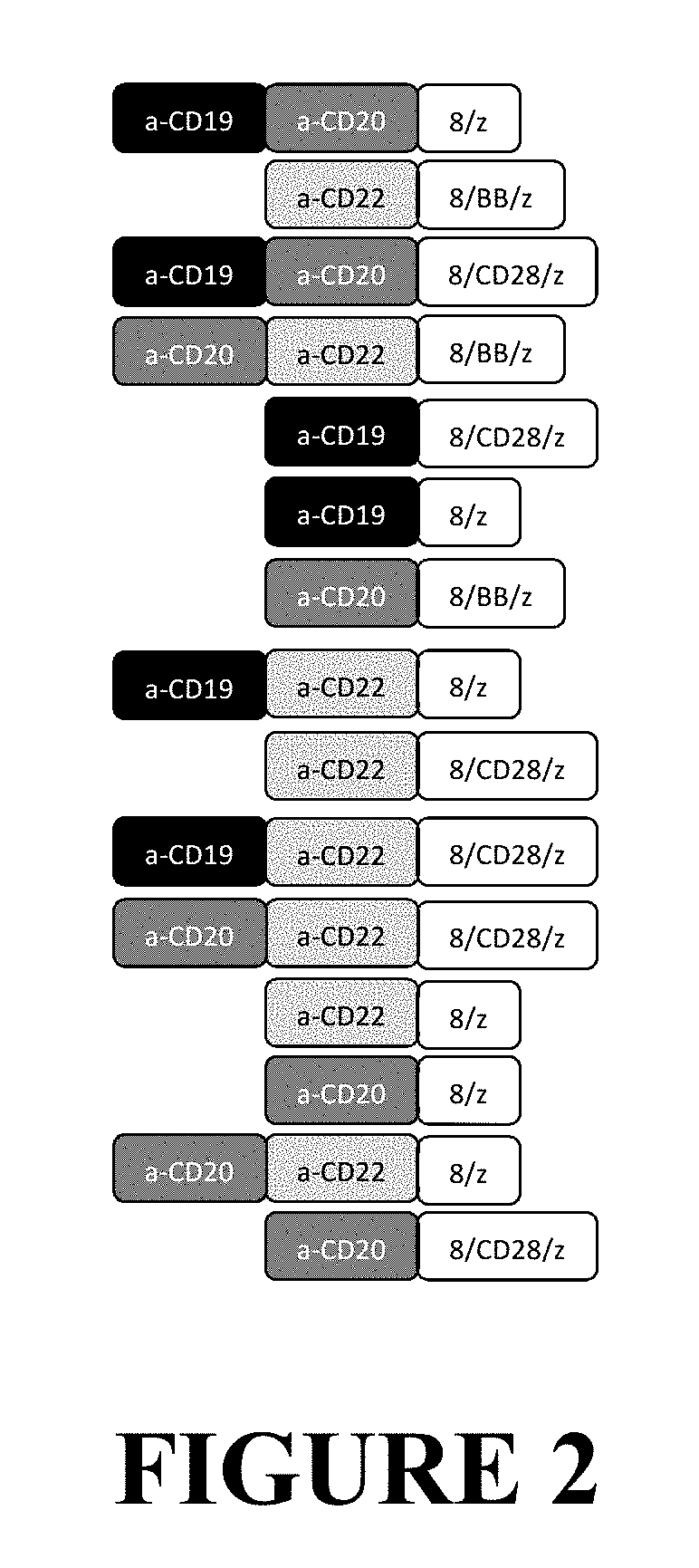 Compositions and Methods for Treating Cancer with DuoCARs