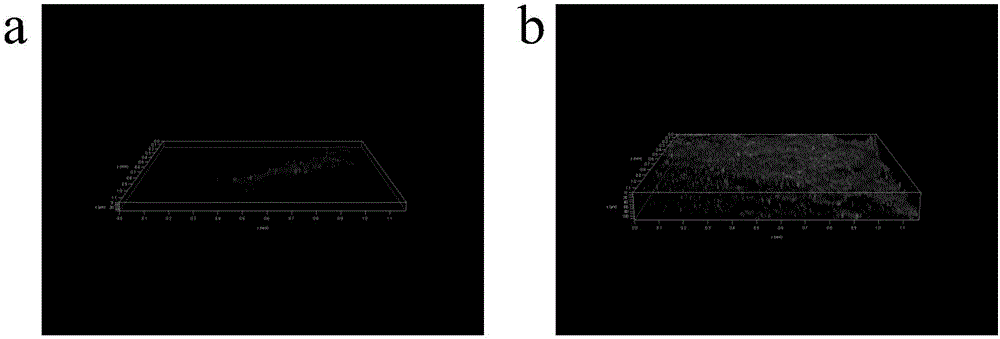 Method for preparing high-stability microbial electrochemical sensor