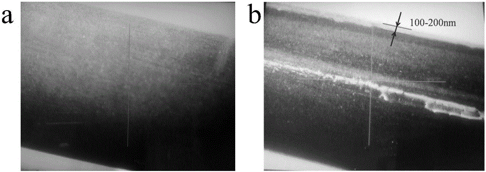 Method for preparing high-stability microbial electrochemical sensor