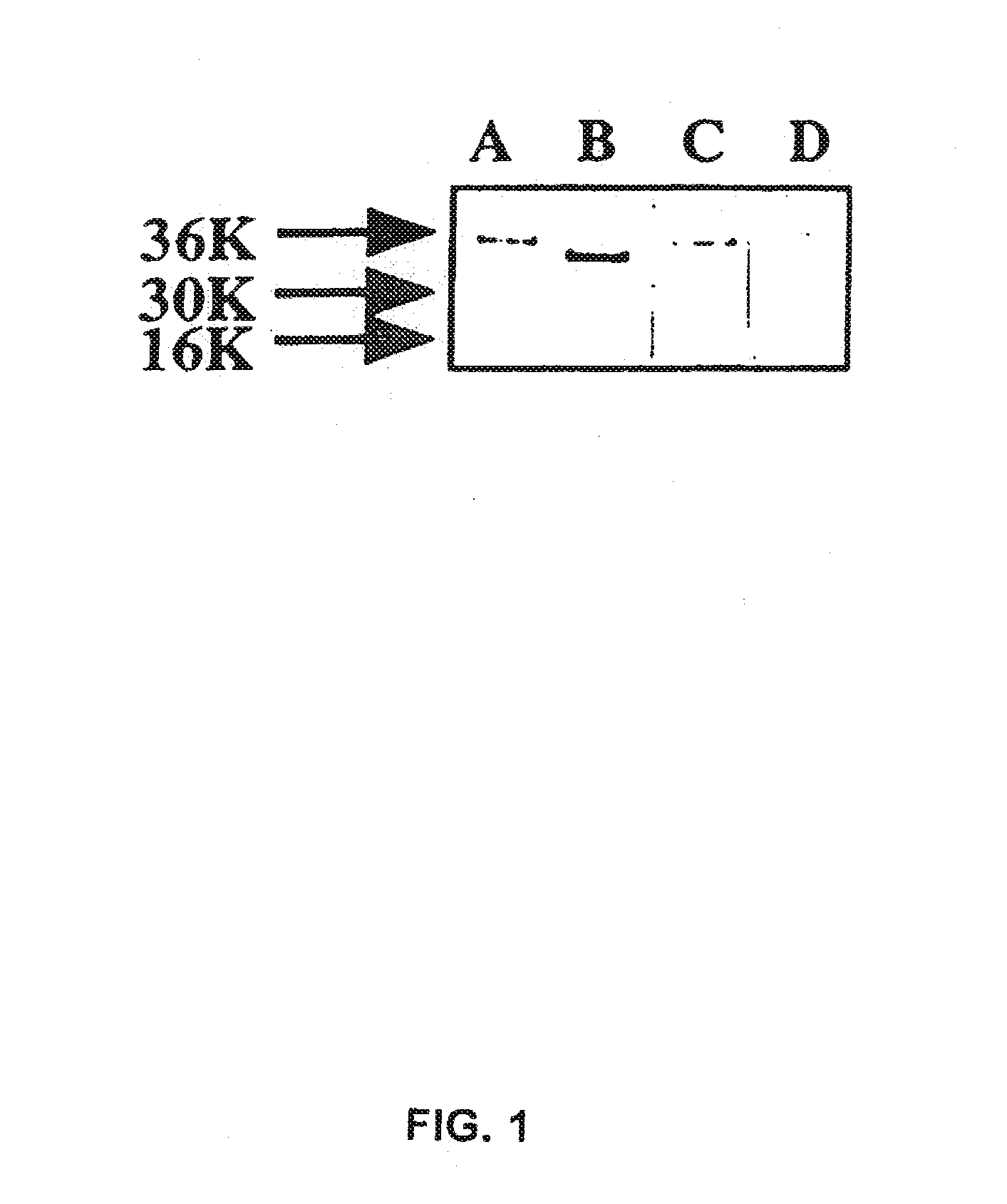 Substance p-saporin (sp-sap) conjugates and methods of use