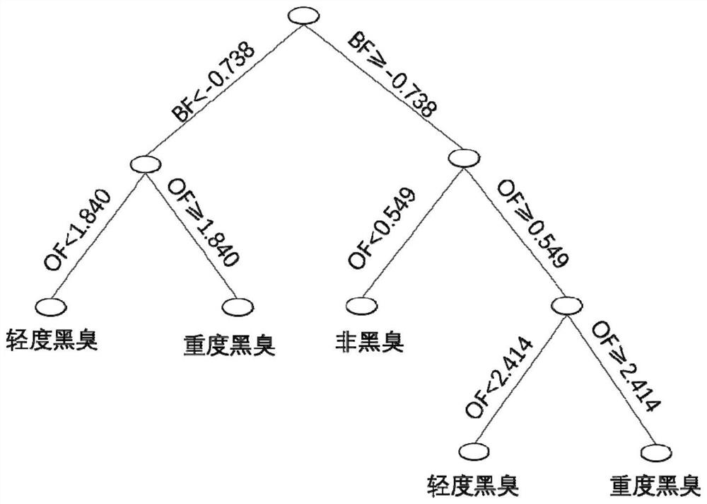 Urban black and odorous water body identification method based on conventional water quality parameters