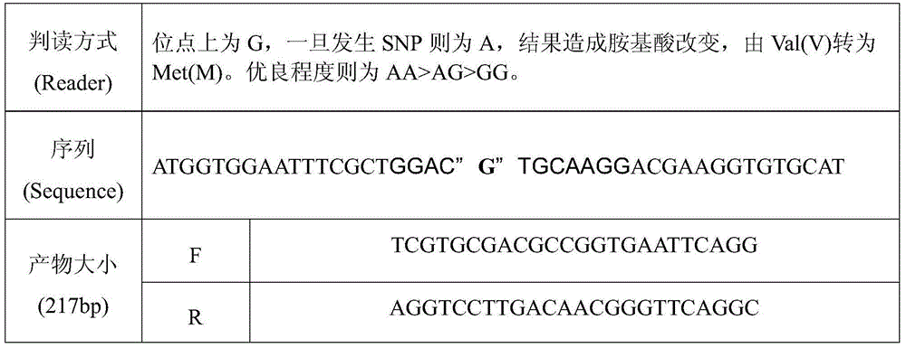 Children's gene evaluation and detection method