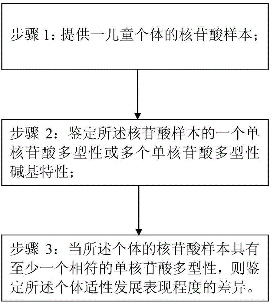 Children's gene evaluation and detection method