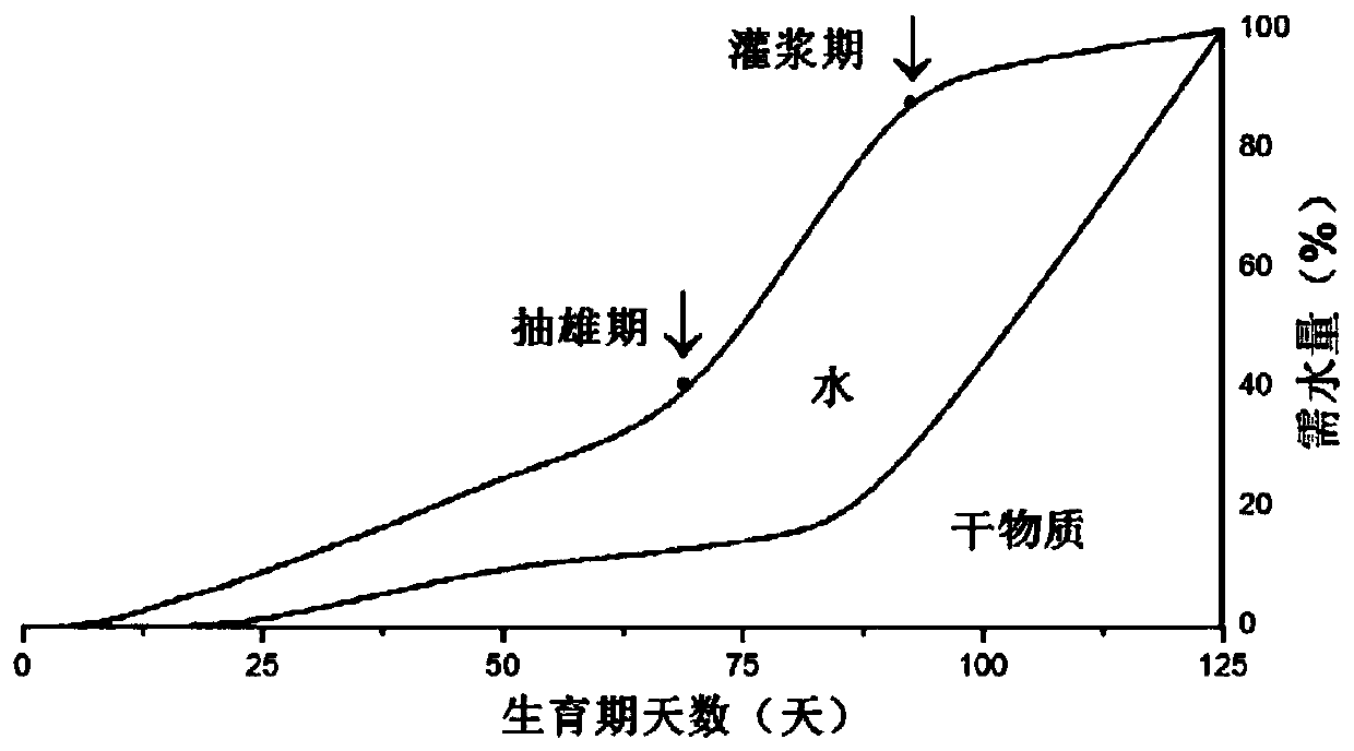 Integrated drip irrigation and fertilization method for corn in semi-arid areas