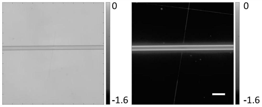 Multifunctional microscopic imaging slide glass based on optical thin film