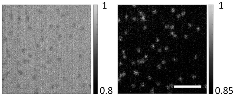 Multifunctional microscopic imaging slide glass based on optical thin film