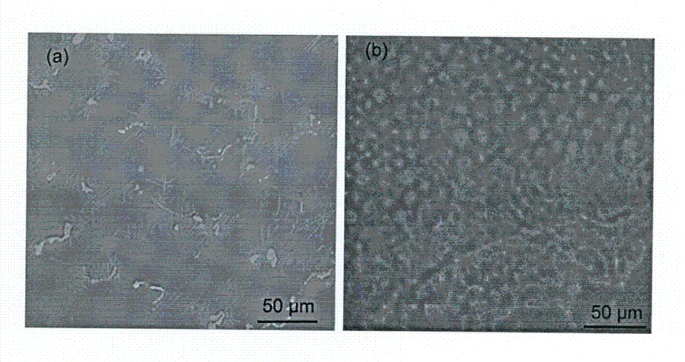 Thermal treatment method suitable for magnetism alloy with age-hardening property