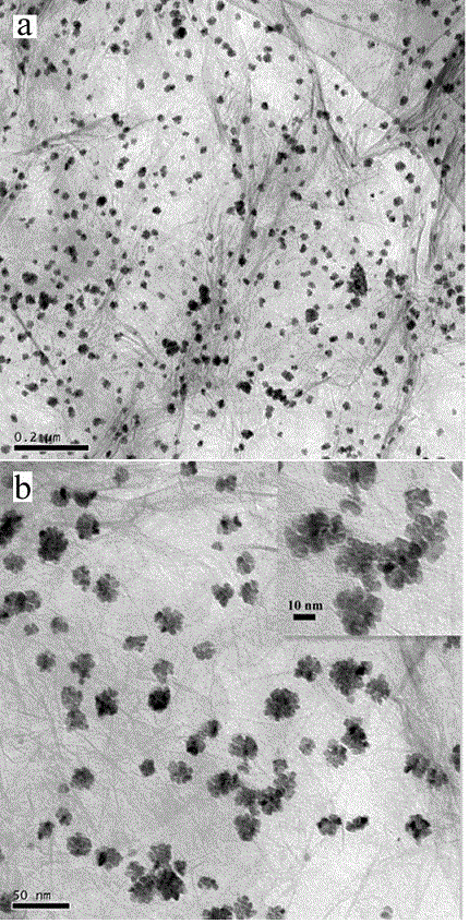 High catalytic activity graphene-Pd @ Pt core-shell structure nanoflower compound and preparation method thereof