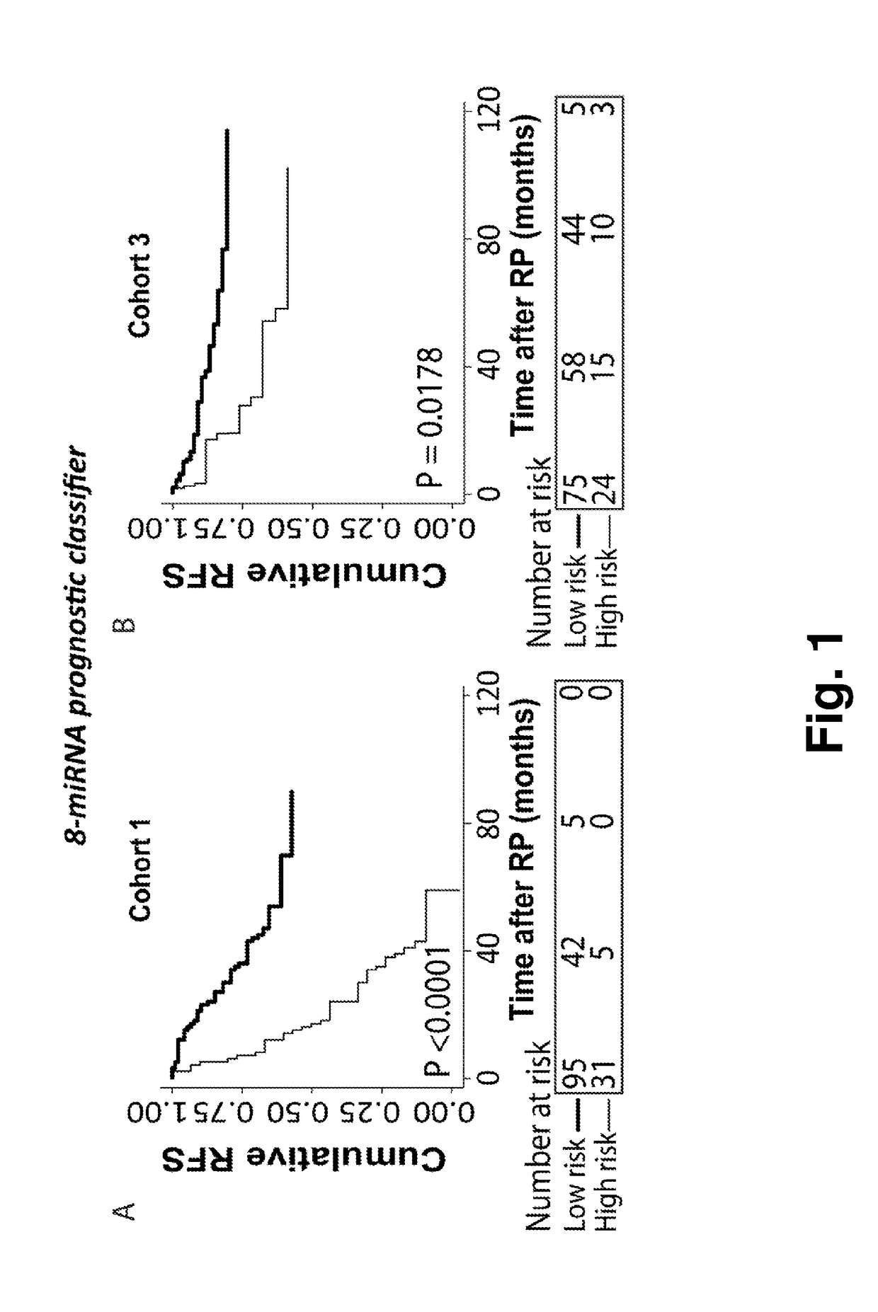 A microrna-based method for assessing the prognosis of a prostate cancer patient