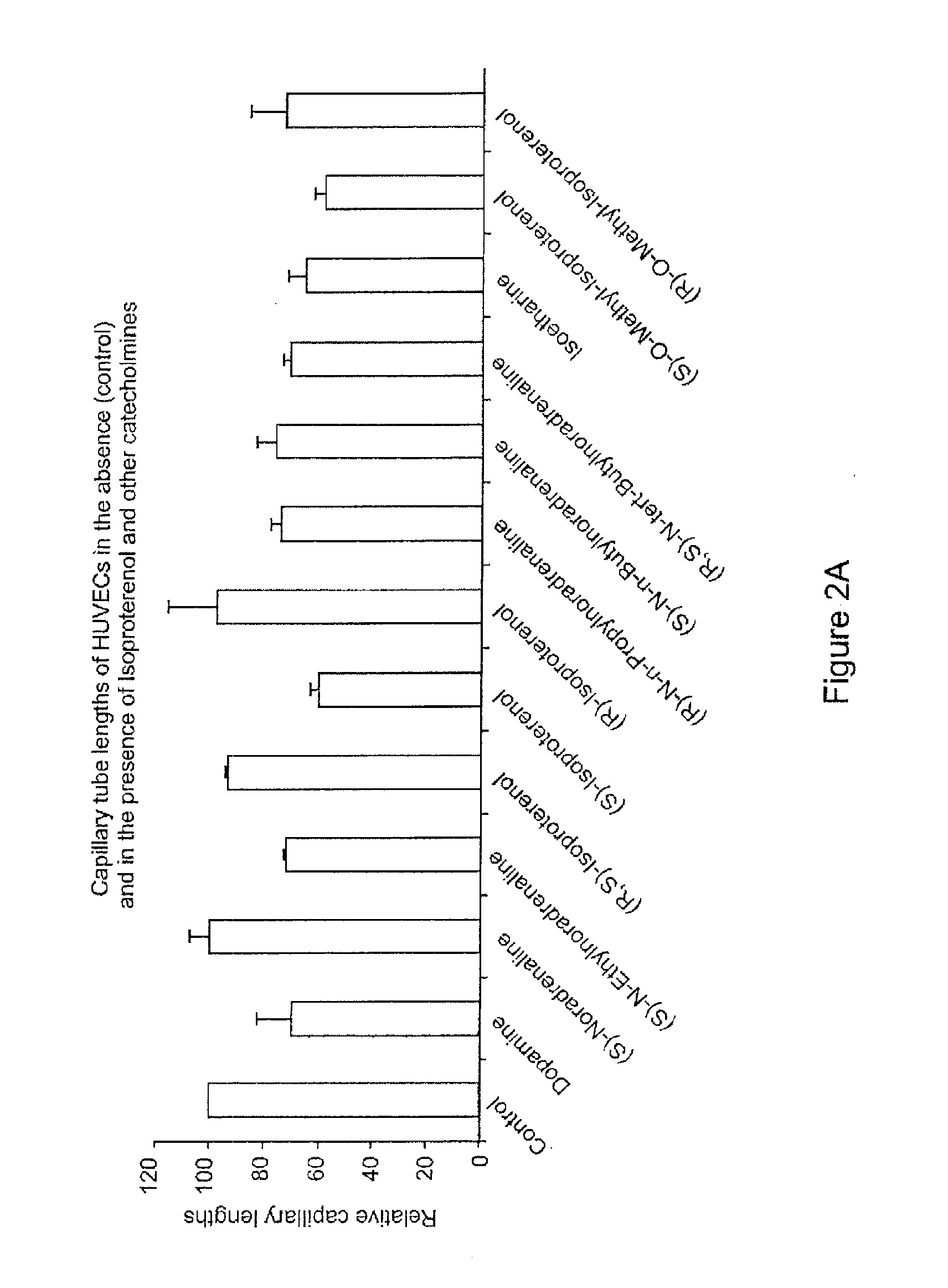 Use of catecholamines and related compounds as Anti-angiogenic agents