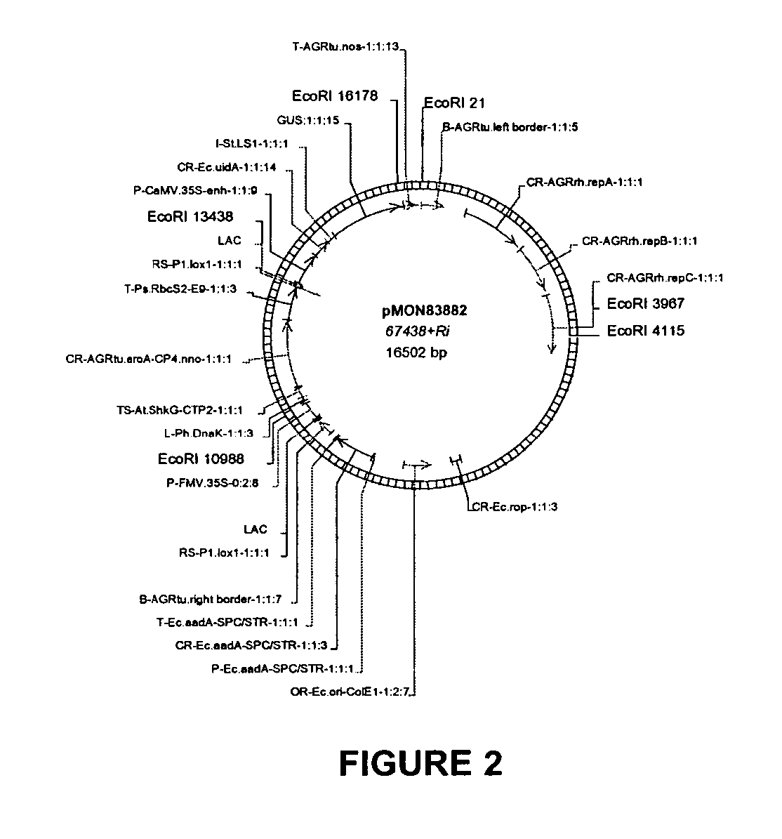 Vectors and methods for improved plant transformation efficiency