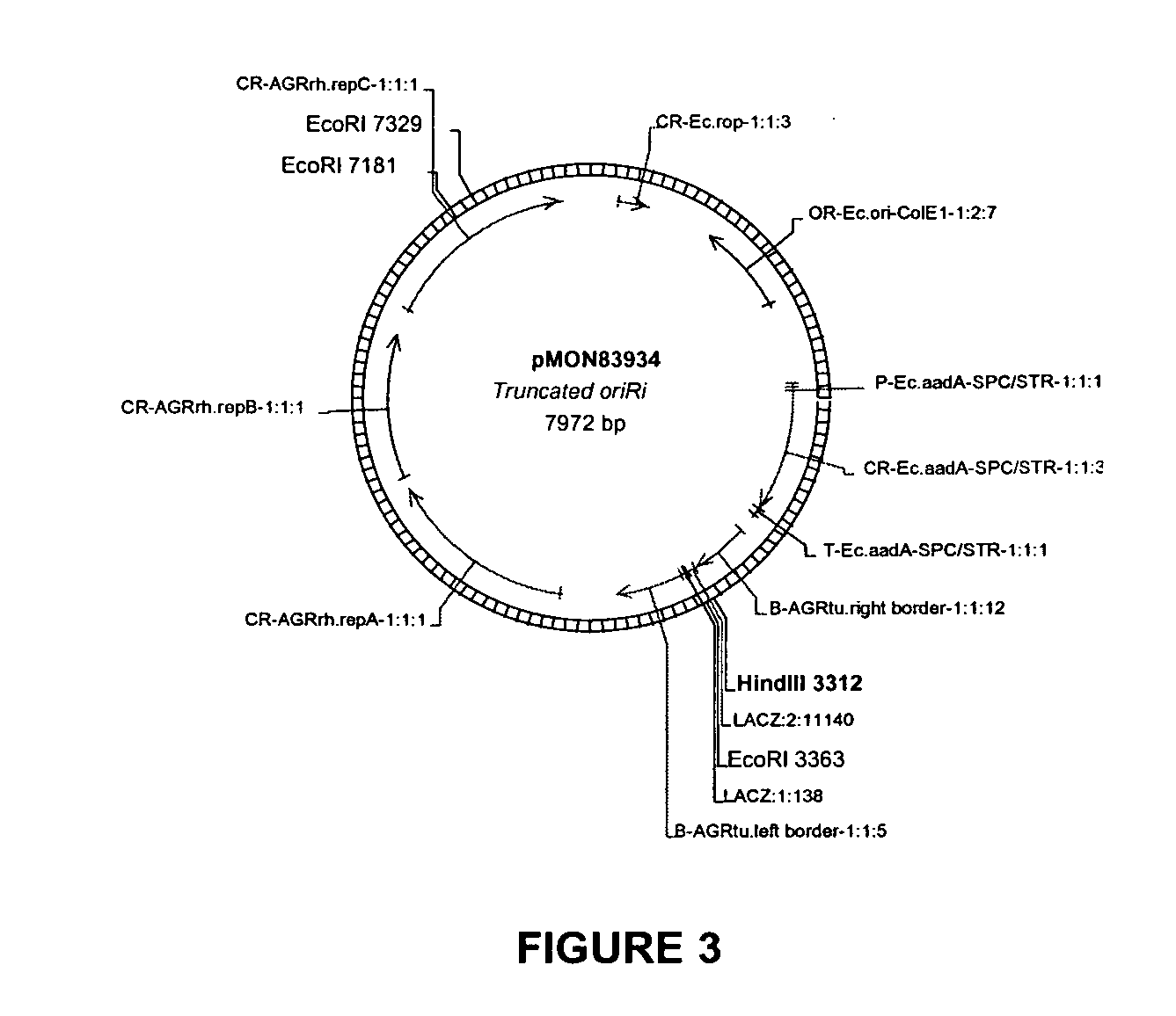 Vectors and methods for improved plant transformation efficiency