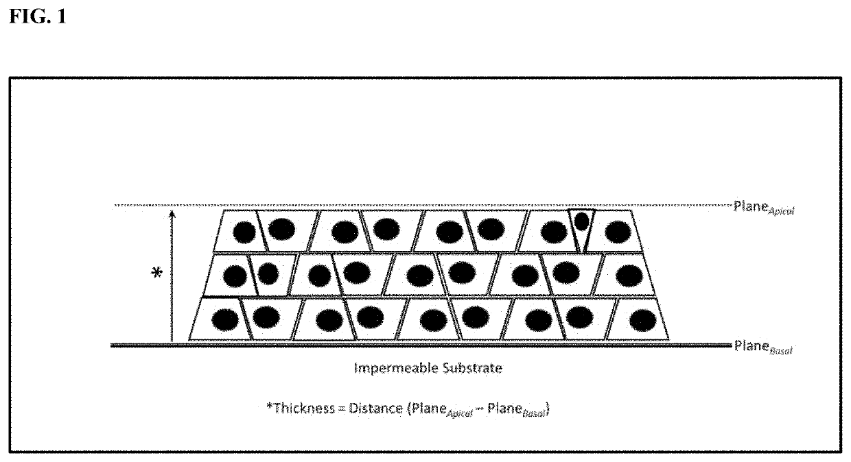 Compositions and methods for increasing the culture density of a cellular biomass within a cultivation infrastructure