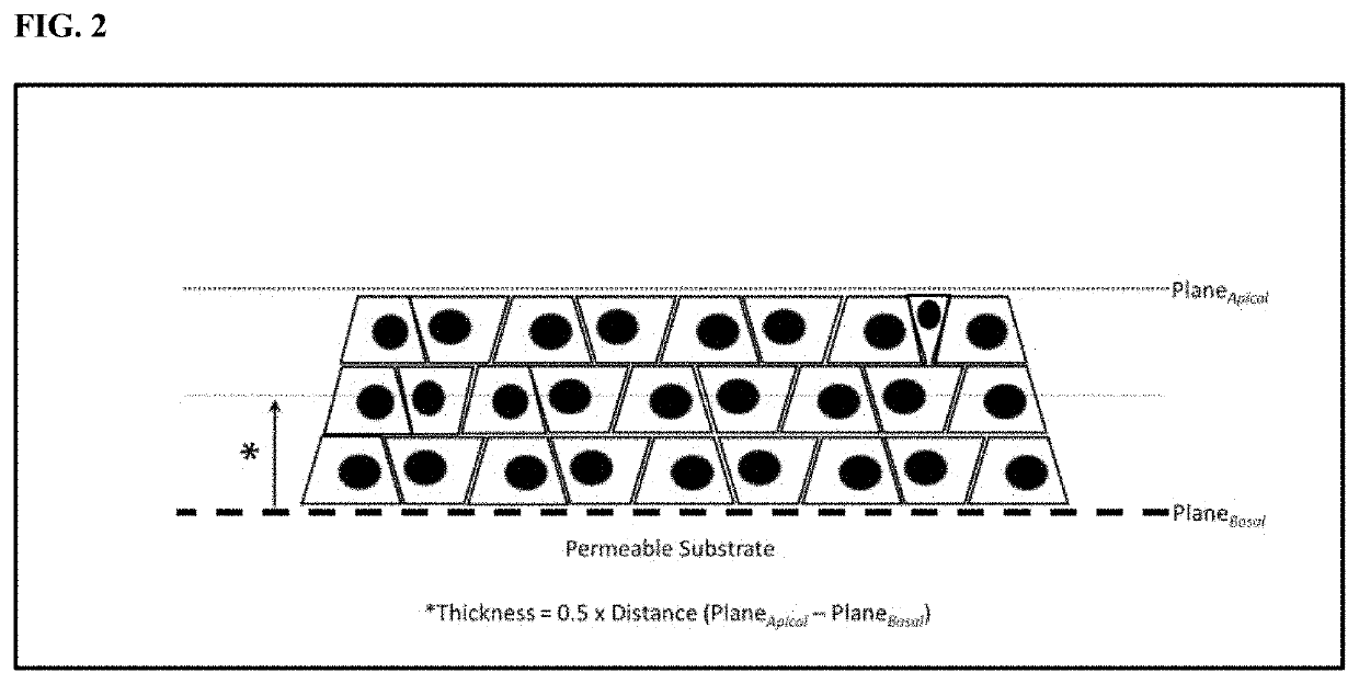 Compositions and methods for increasing the culture density of a cellular biomass within a cultivation infrastructure