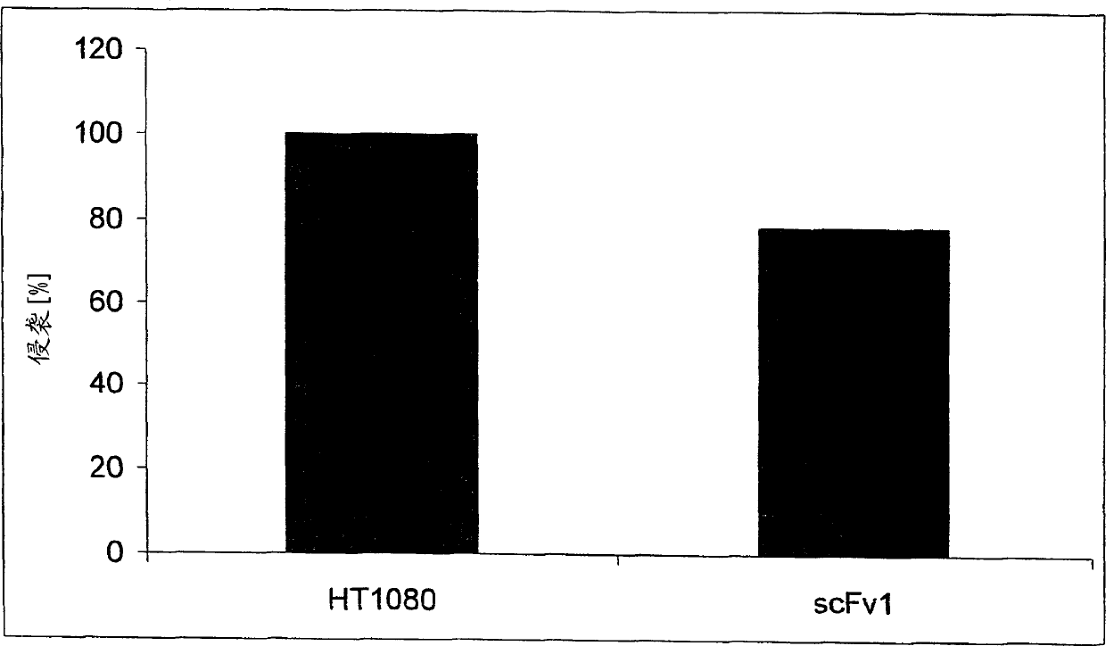 Modulation of the poliovirus receptor function