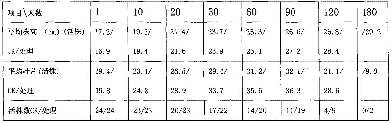 Method for improving artificial breeding survival rate of populus diversifolia by inoculating arbuscular mycorrhizal fungi