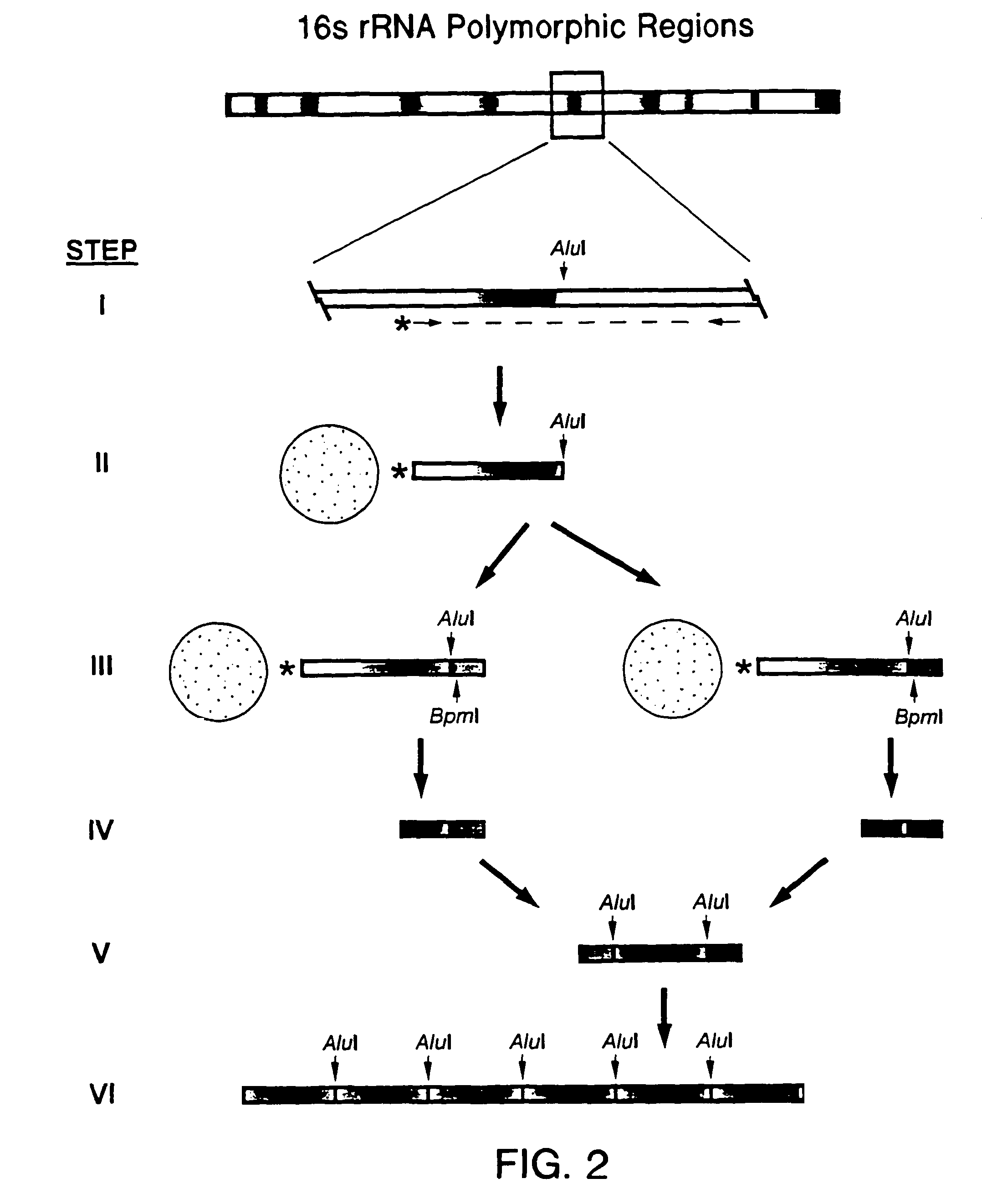 DNA-based methods of geochemical prospecting