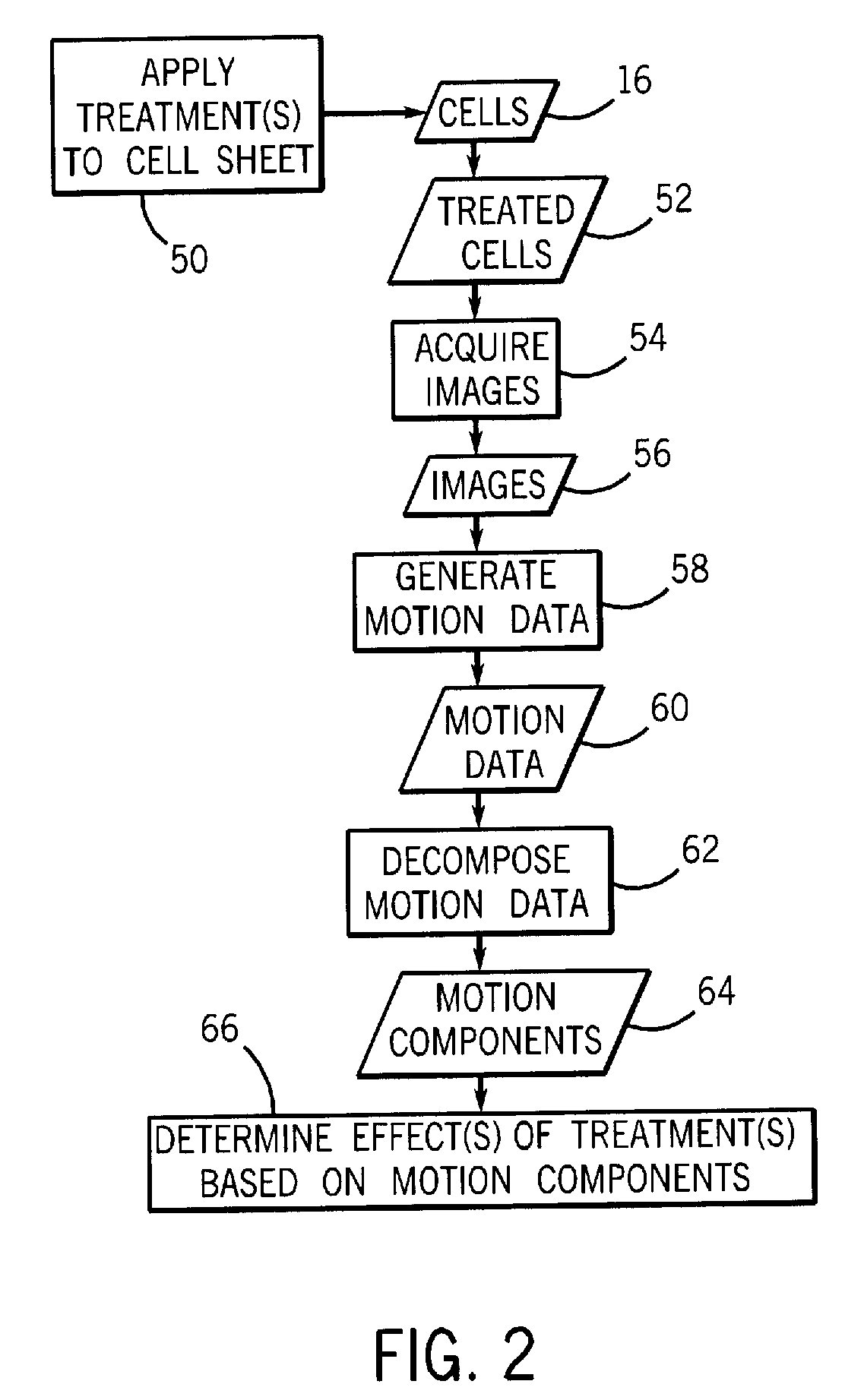 Automatic characterization of cellular motion