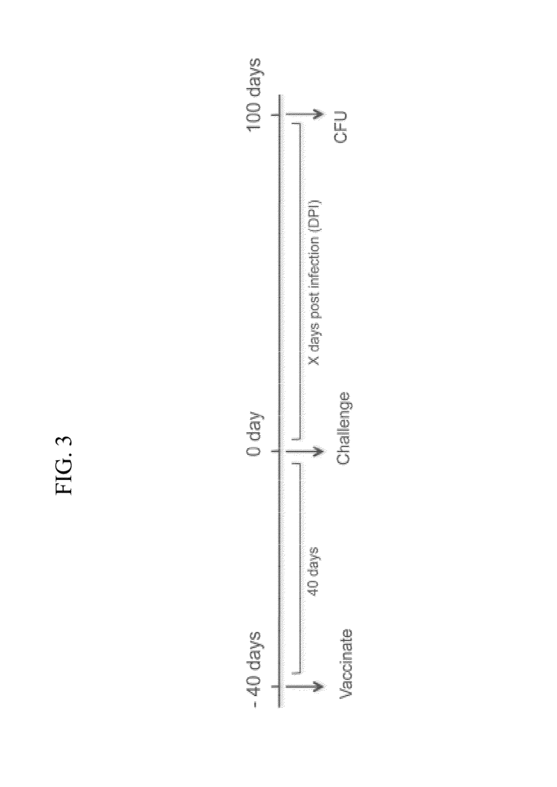 Vaccination against Cryptococcus