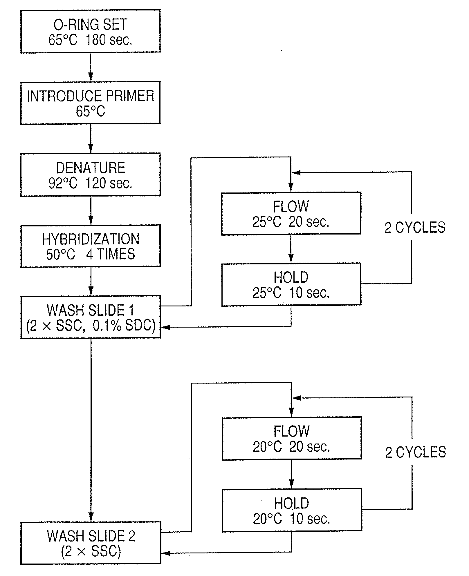 Probe, probe set, probe carrier, and testing method