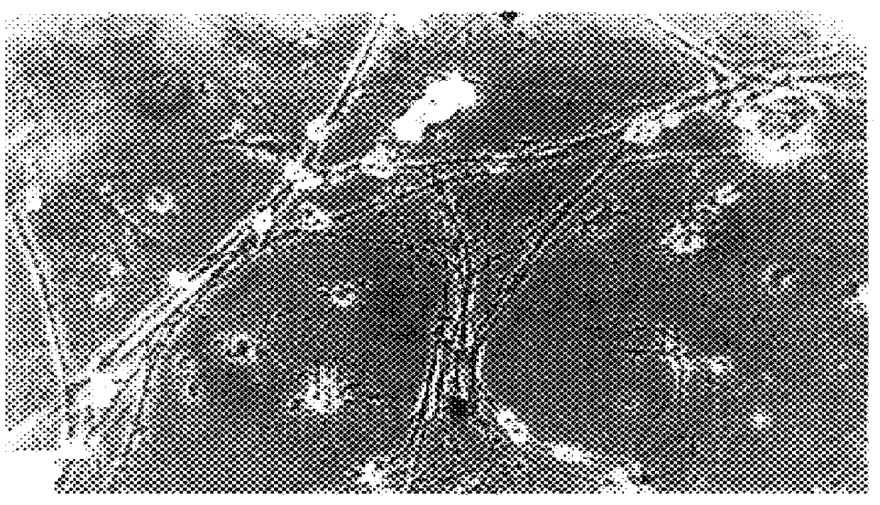 Treatment of CNS tumors with metalloprotease inhibitors