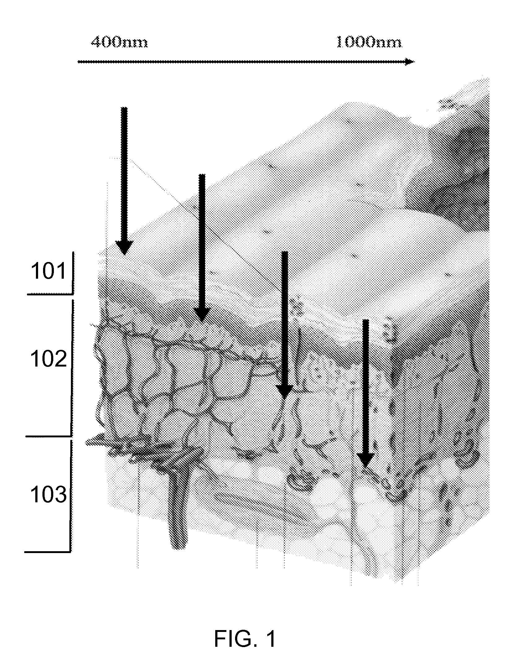 Method and system for multispectral palmprint verification