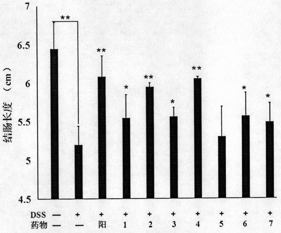 A kind of separation and preparation method of Guangdong purple pearl extract and its application