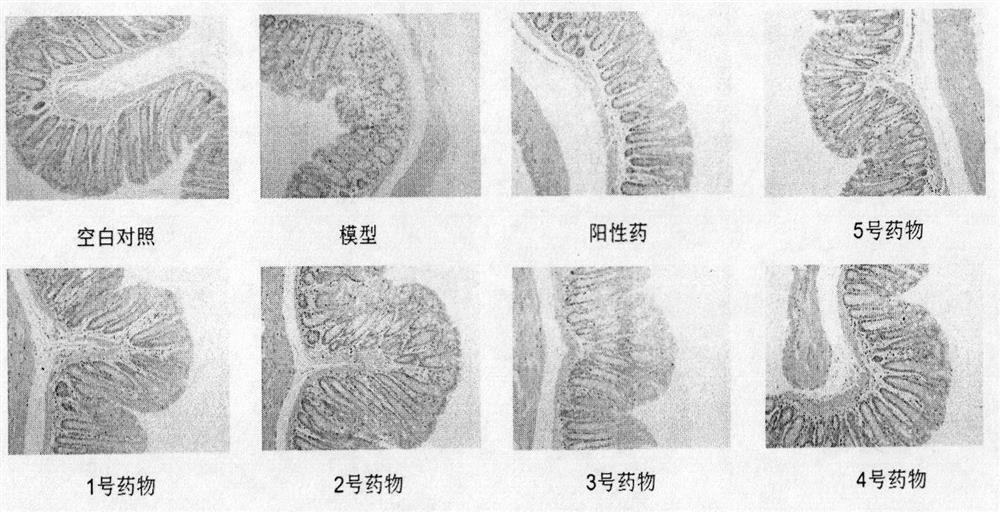 A kind of separation and preparation method of Guangdong purple pearl extract and its application