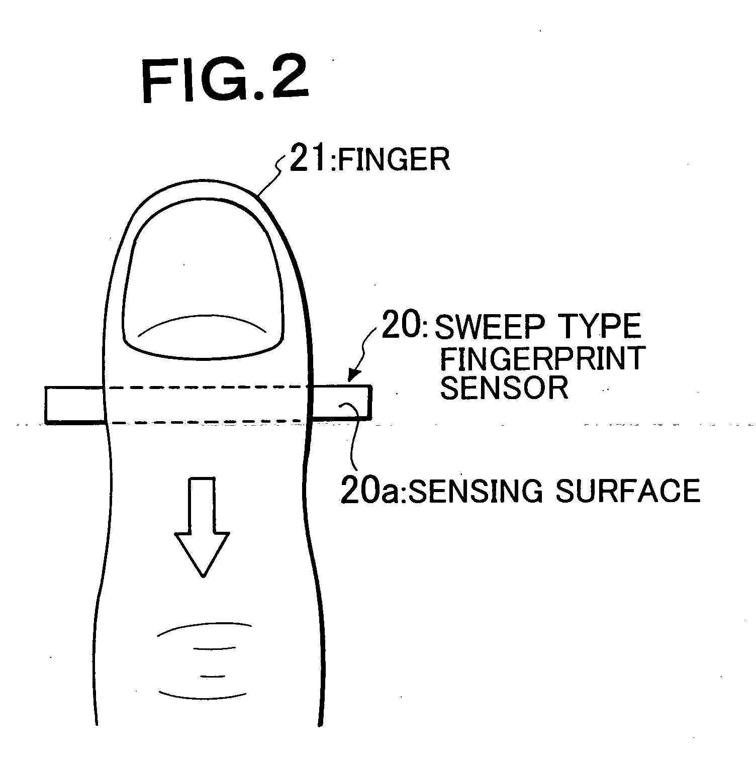 Fingerprint reading method, fingerprint reading system and program